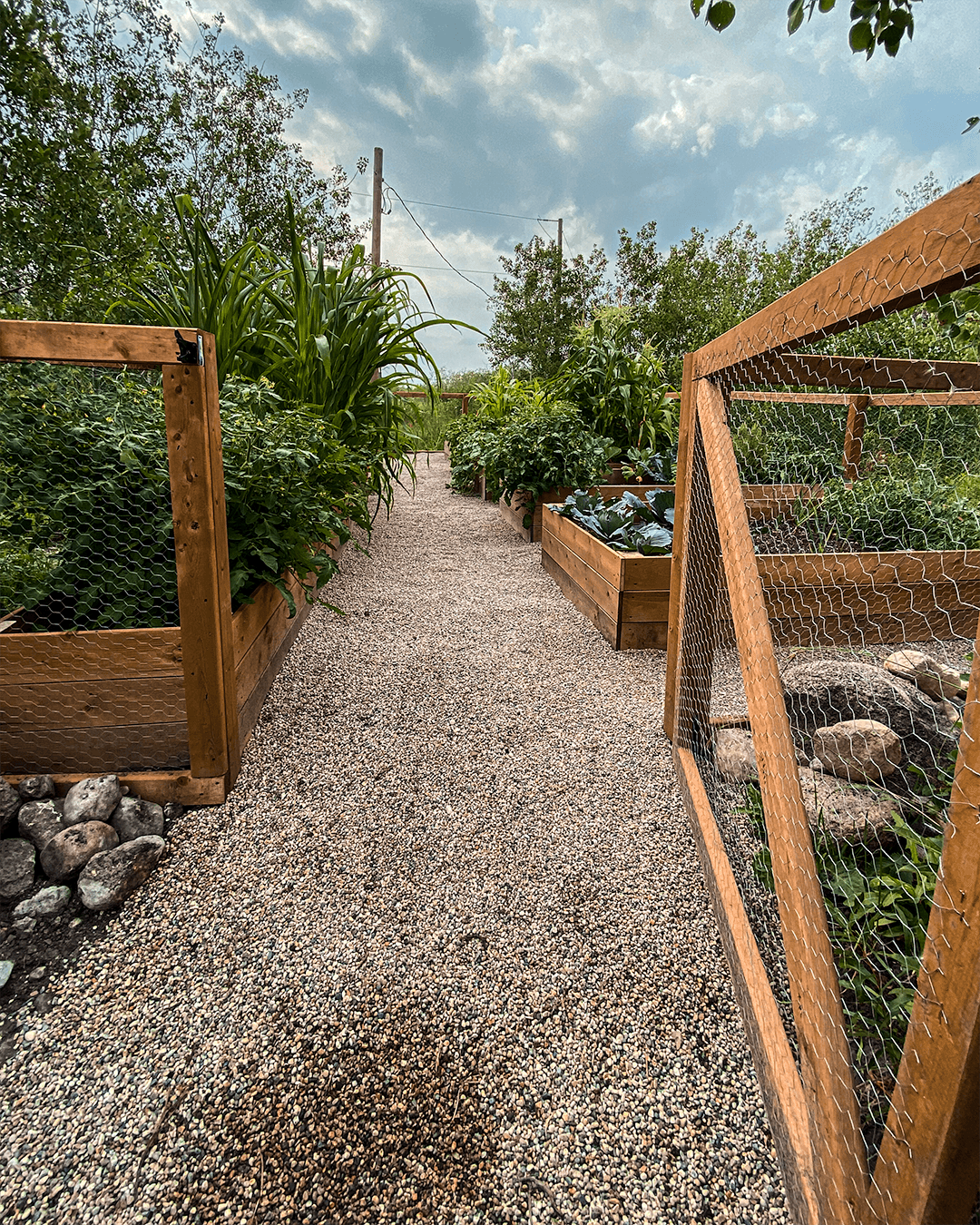 River rock stone pathways amid lush vibrant garden beds and screened wooden fence